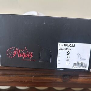 Pleaser Clear Platform Heels